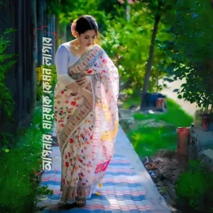 প্রিমিয়াম -সিল্ক শাড়ী